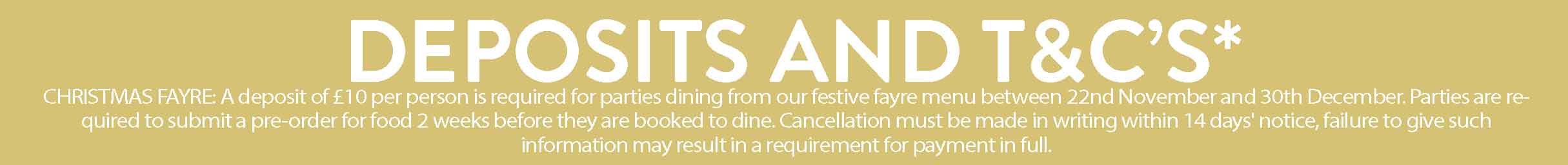 t&cs xmas 20224
